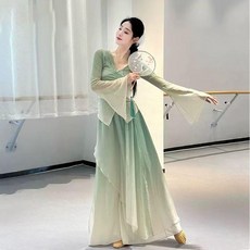 古典舞蹈服 古典舞蹈服裝身韻紗衣舞蹈仙氣飄逸古風練功服中國形體演出服套裝