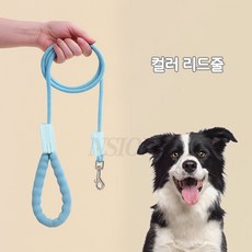 NSION 반려동물 산책용 나일론 컬러 로프 리드줄 2m, 1개, 블루