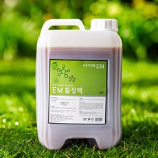 힐링라이프 EM 활성액 대용량 10리터 이엠 발효액, 1개, 10L
