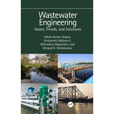 (英文圖書)Wastewater Engineering: Issues Trends and Solutions 平裝版, CRC Press, 英文