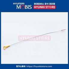 로드 오일 레벨 게이지 (266113CKA0)