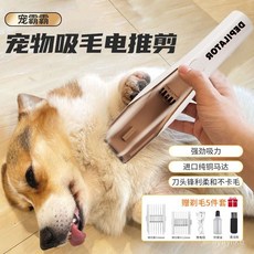 寵物吸毛電推剪 附贈5件套組 靜音低噪音 R型圓角刀頭, 1個, C級【常規款】短毛寵物電推剪【低功率】,升級3.123寵物剃毛新款【告別毛毛滿天