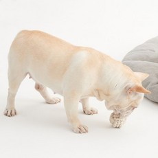 [무인양품] 강아지 장난감 공, 장난감 공 4550512851882