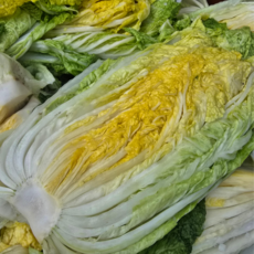 국내산 절임배추 | 절임 바로 사용 | 짜지 않은 배추 3kg, 출고, 1개