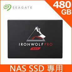 Seagate IronWolf Pro 125 480GB NAS SSD 裸裝 ZA480NX1A001