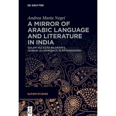 (英文圖書)A Mirror of Arabic Language and Literature in India： Ġulām ʿal... 精裝版, de Gruyter, English