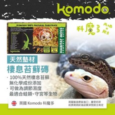 帥哥水族【KOMODO 科魔多】棲息苔蘚磚（4.5L）兩棲爬蟲 蜥蜴 守宮 蛇 角蛙, 1個