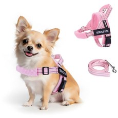 FAYOGOO 소형에서 대형견을 위한 보조견 조끼 조절 가능한 가슴 스트랩이 있는 경량 안내견 하네스 걷기 훈련을 당김 없는 초크 탈출 방지 강아지 하네스, 핑크