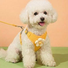 해피펫밀리 데이지 하네스 리드줄 세트, 옐로우, 1개