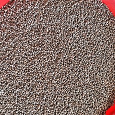 전남 곡성 산지직송 25년산 국산 햇 들깨 통들깨 국내산 생들깨, 1kg, 1박스