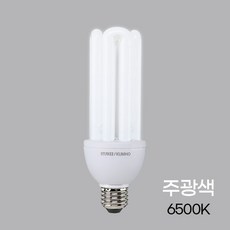 led조명 EL 램프 30W E26 주광, 없음