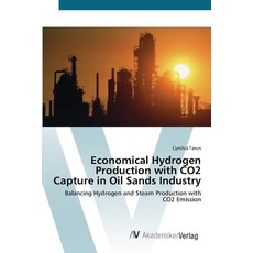 Economical Hydrogen Production with CO2 Capture in Oil Sands Industry, AV Akademikerverlag, English, 9783639431681