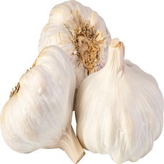 국산 껍질마늘 피마늘 통마늘 김장용 식당용 업소용 중자, 1개, 10kg