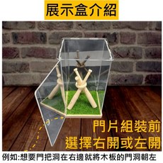 棒球展示盒 棒球收納盒 棒球架 簽名球展示盒 防塵棒球收藏盒 透明球盒, 1個