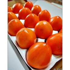 영암 금정 대봉감 청도반 곶감용감 못난이 대봉감 2kg 5kg 10kg, 1박스, 대봉감5kg특상(14-20)