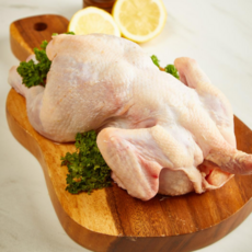 염지 삼계 닭 도매 유통 영계 생닭-06호 (550g-650g), 1개, 600g