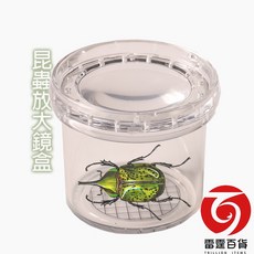 生物昆蟲放大鏡觀育盒 昆蟲觀察盒 甲蟲盒 甲蟲放大鏡 台灣製 現貨, 1個