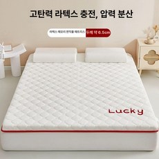 라텍스 매트리스 토퍼 바닥매트 원룸 수면매트 접는 자취, 1cm, 6.5cm 럭키 스타 화이트