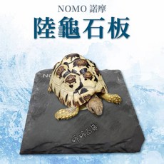 諾摩 NOMO 陸龜石板 磨爪岩板 爬蟲磨甲石 餵食石片 磨趾甲 保暖石, 1個, NM-1010 cm