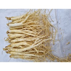 실속형 삼계탕용풍기인삼도매 1000g/750g/500g (깨끗한A급삼계수삼) 6년근 무료세척인삼 무료택배, 1개, 1.5L