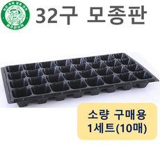 파주큰사위 튼튼한 32구 모종 트레이 파종 삽목 32공, 검정, 10개