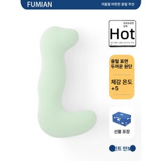 바디필로우 롱 침대용 베개 쿨링 대형 안고자는 꿀잠, 성인 대형 165cm 이상 103cm 16cm, 선물상자 가을겨울 플리스 민트 맘보