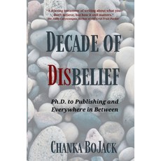 (영문도서) Decade of Disbelief Paperback, Tehom Center Publishing, English, 9798991484404