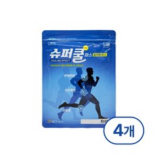 티디에스팜 간편일체형 슈퍼쿨 파스, 4개, 5개입