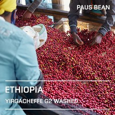 생두대빵 에티오피아 예가체프 G2 워시드 생두, 1kg, 1개