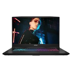MSI 2024 스워드 17 HX 코어i9 인텔 13세대 지포스 RTX 4070, 코스모스 그레이 + 블랙, 2TB, 16GB, WIN11 Pro, B13VGKG-i9 QHD