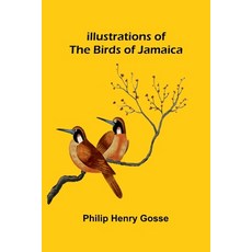 (영문도서)Illustrations Of The Birds Of Jamaica Paperback, Alpha Edition, English, 9789373052854