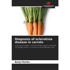 (영문도서)Diagnosis of sclerotinia disease in carrots Paperback, Our Knowledge Publishing, English, 9786200827999