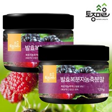 토종마을 발효복분자농축분말 국산 고창산, 120g, 2개