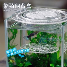 【AC草影】魚寶寶 幼魚繁殖孵化隔離盒（刻字版）【一個】ECS012194 - 小魚孵化 繁殖隔離盒, 1個
