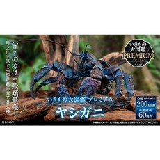 萬代 生物大圖鑑 プレミアム 椰子蟹, 1個