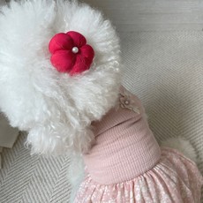 Grooming Dog 寵物手工簇頭里, 紅色