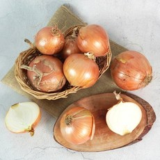[더조은] 전남무안 싱싱 햇 양파 (소), 1박스