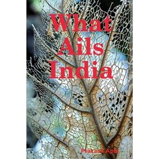 (영문도서)What Ails India Paperback, Lulu.com, English, 9781304667045