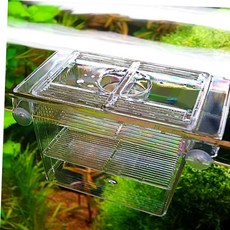 치어부화통 구피 열대어 치어 키우기 미니 어항 치어통 부화통, T