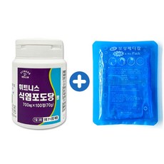 휘트니스팜 식염포도당 정 원통형 100정 + 보성 쿨팩(소) 세트