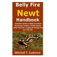 (영문도서) Belly Fire Newt Handbook: : Inclusive Guide on Belly Fire Newt Nurturing; Conduct Health Iss... Paperback, Independently Published, English, 9798506886686