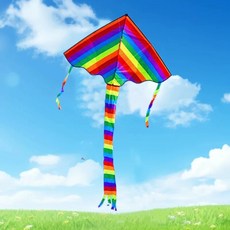 어린이 연날리기 장난감 델타 무지개 연 전문가용, 50m 줄 연