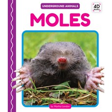 Moles Library Binding, Pop!, English, 9781532167638