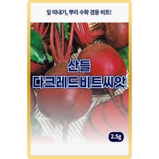 산들 다크레드 비트씨앗 2.5g 잎 뿌리 수확 겸용 비트씨 종자, 1개