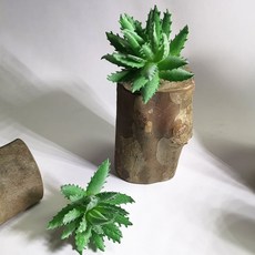 仿真多肉植物盆栽, P72仿真多肉+木頭底座(隨機), 1套