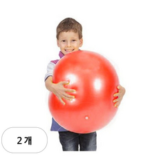 [짐닉] 소피볼 레드, 2개