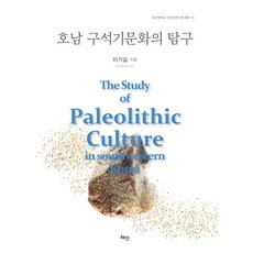 湖南舊石器文化的探究, 慧眼, 李起吉