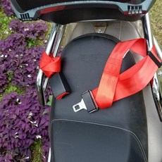 전동 오토바이 휠체어 안전벨트 보호대 낙상 방지, 1개, 레드 측면 삽입 안전벨트