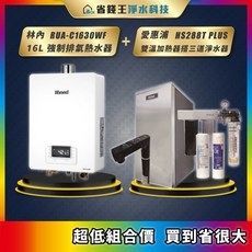 Rinnai 林內 RUA-C1630WF 16L 強制排氣熱水器 + 愛惠浦 HS288T PLUS 雙溫加熱器，搭配三道淨水器組合