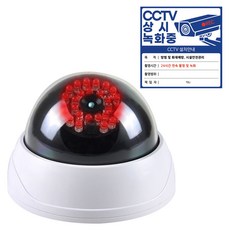 다감컴퍼니 모형 CCTV 가짜 CCTV 프리미엄 자동 28구 LED 돔카메라, 1개